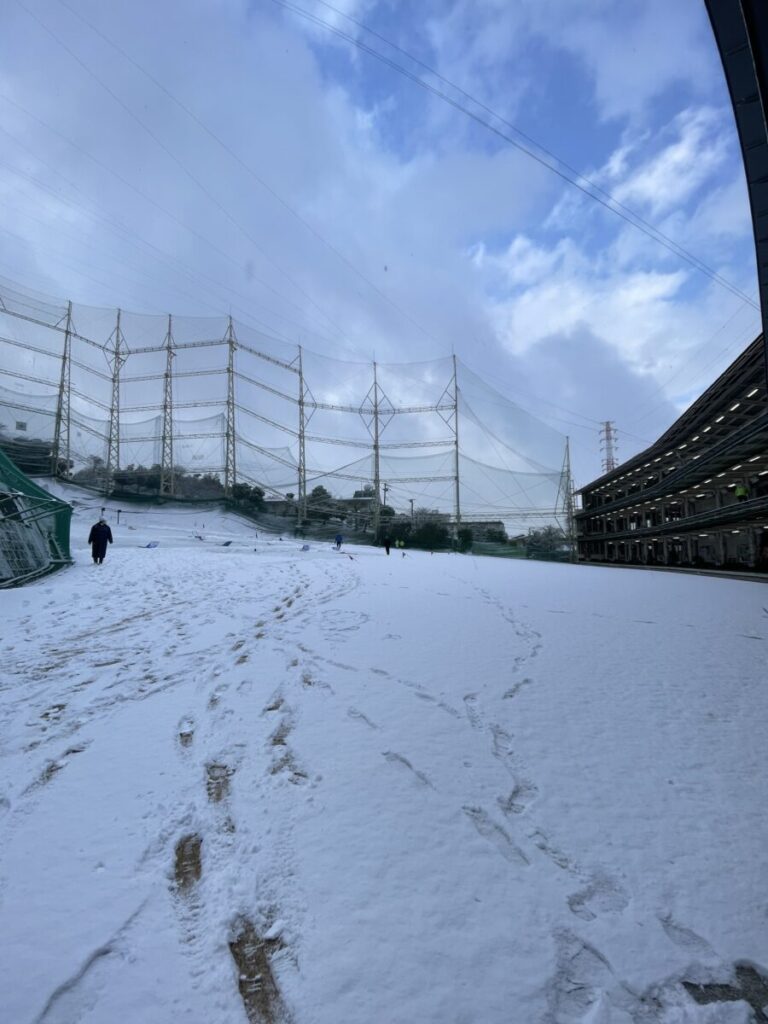 ８日(日)９時より営業中です。